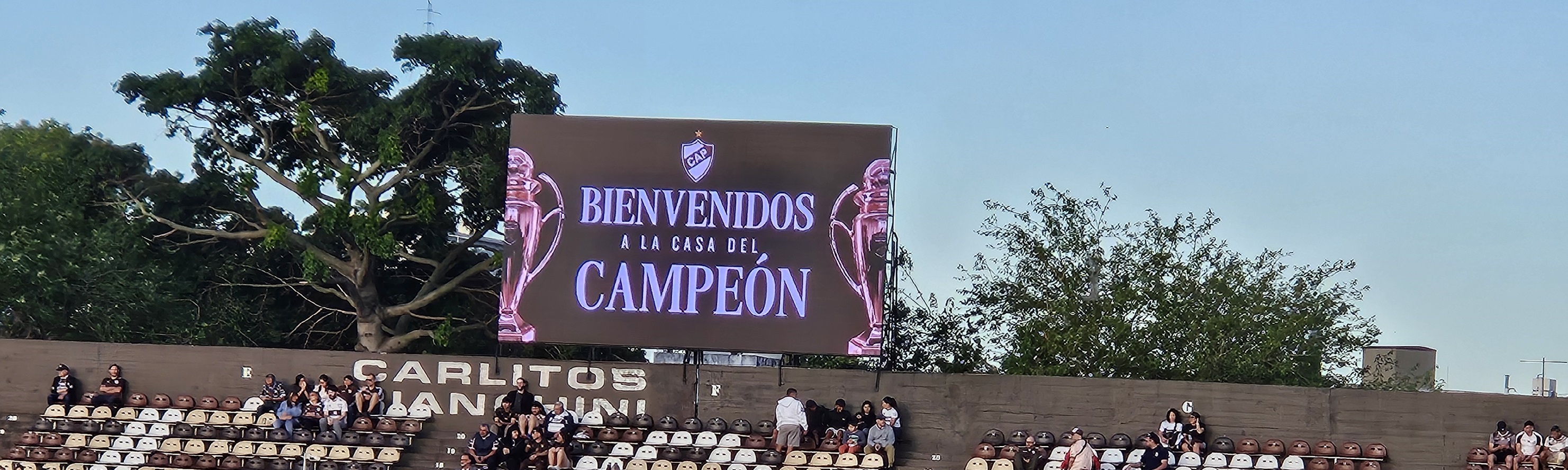 INFLACION ACTUALIZADA